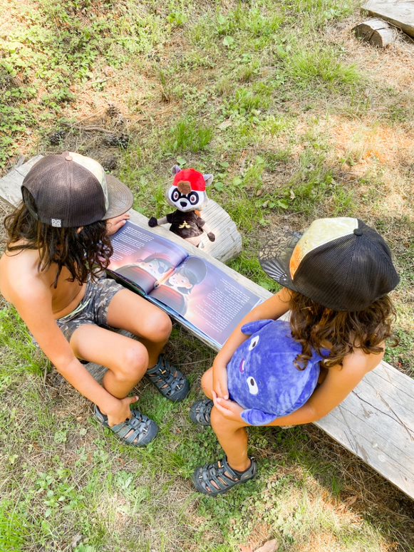 Twins with a Hooray Heroes book for siblings.